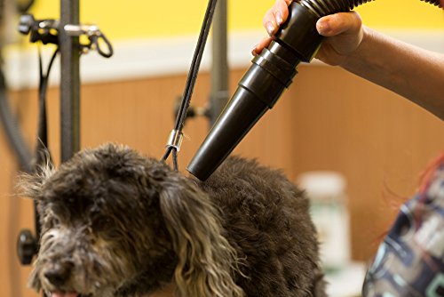 image for New Metro Vac Air Force Master Blaster Pet - Dog Grooming Dryer - Mode