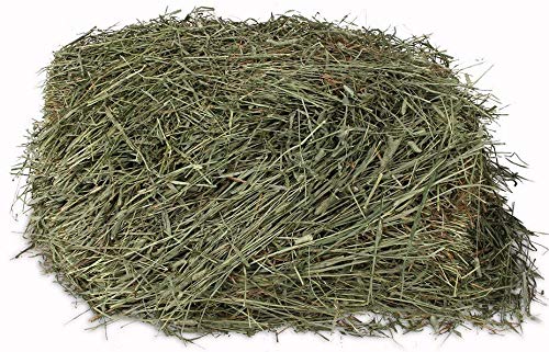 CountryMax Finger Lakes Mixed Hay 20 Quarts for Rabbits and Guinea Pigs