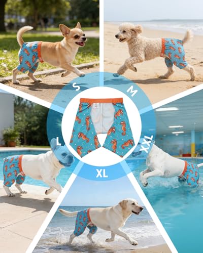 Image of CuteBone Dog Swim Trunks Swimsuit Durable & Comfortable - Quick-Dry, Adjustable Waistband Shorts, UV Protection Bikini- Perfect for Beach, Pool & Outdoor Fun, Dinos DST16XXL