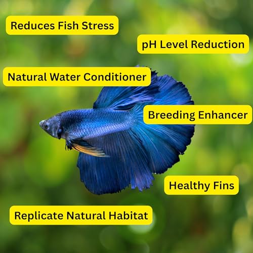 Image of 80 Pcs Dried Indian Almond Catappa Ketapang Leaves 4 inch - Natural Leaf Litter for Betta, Goldfish, Guppy, Tetras & Frogs, Aquarium Botanicals for Fish Tanks, Aquascaping & Terrariums