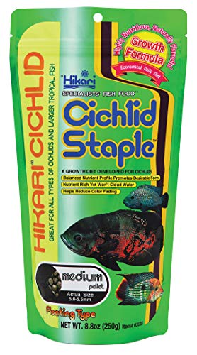 Hikari 03328 8.8-Ounce Cichlid Staple Floating Pellets for Pets, Medium