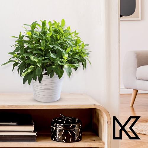 KADAX Blumentopf mit Untersetzer, Pflanzkübel für Innen, Leichter Blumenkübel, Pflanztopf aus Kunststoff, runder Übertopf für Blumen… – Ansicht 7