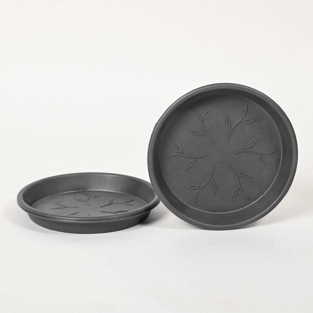 Ugaoo Plant Saucers - Protect Pots & Surfaces -14