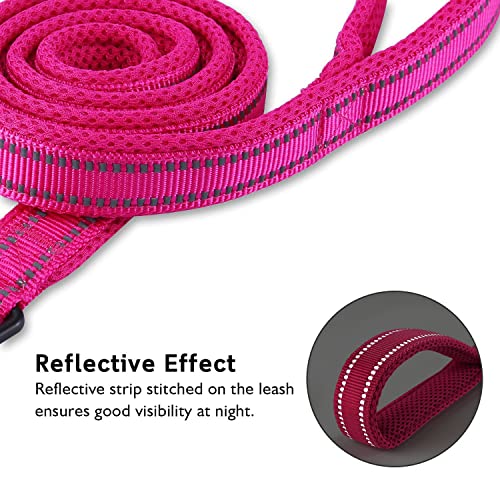 PETTOM Hundeleine Reflektierend Leine aus Nylon mit Weich Gepolsterter Griff und Metallhaken für Training, Robuste Leine Hund für Kleine Mittel Große Hunde (Rose 200 cm)