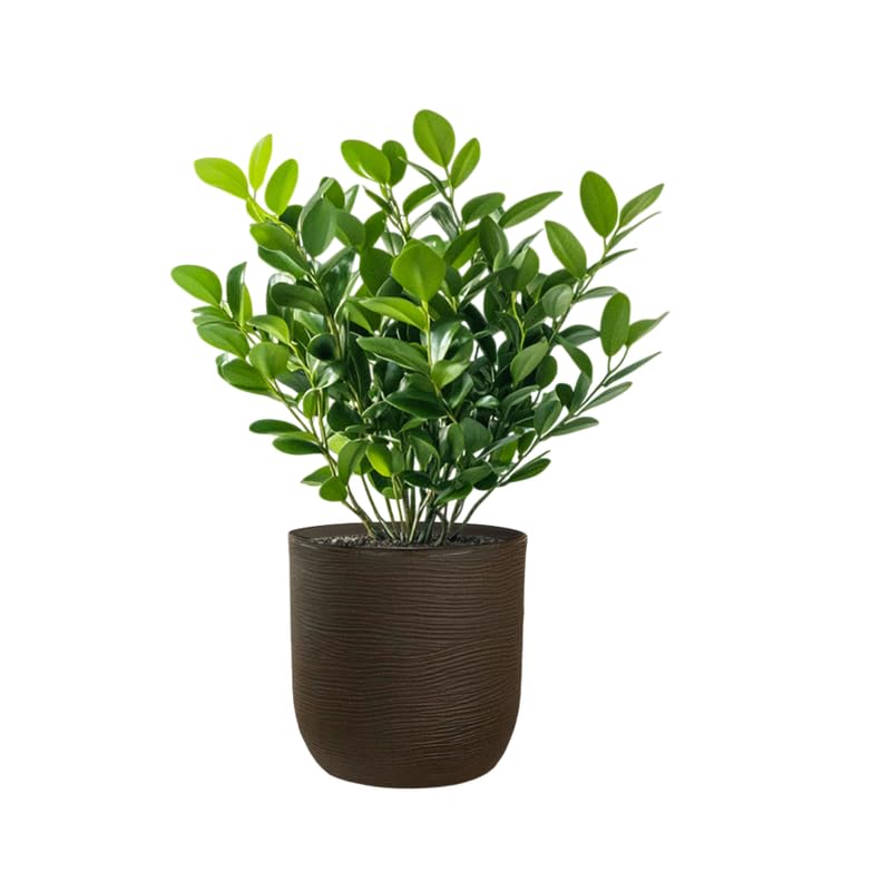 Vase cylindrique en résine Raffaello Marrone 35X34Cm pot de fleur jardin