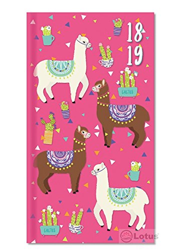 Télécharger Agenda scolaire 2018-2019 avec affichage hebdomadaire Couverture ultra-mince – Lama Livre eBook France