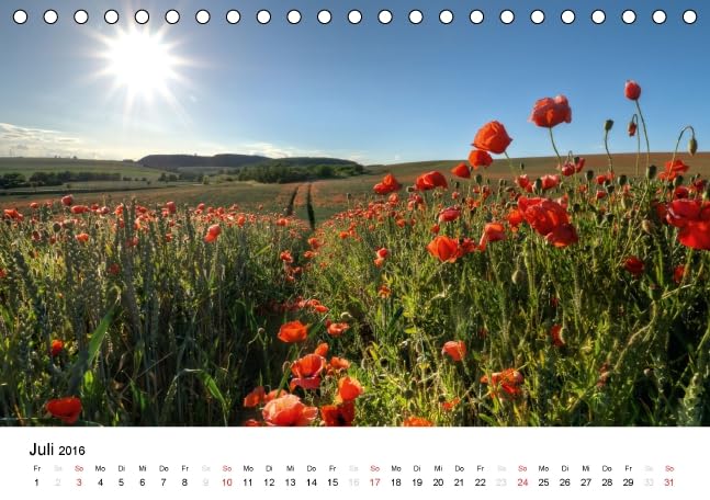 MohnZeit (Tischkalender 2016 DIN A5 quer): Landschaften voller Mohnblüten (Monatskalender, 14 Seiten ) (CALVENDO Natur)