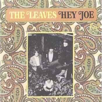 洋楽 The Leaves - Hey Joe The Leaves Hey Joe - YouTube