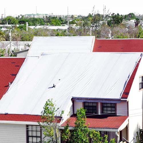 Lona de PVC transparente resistente de 2x3 m con ojales para proteger el jardín 6