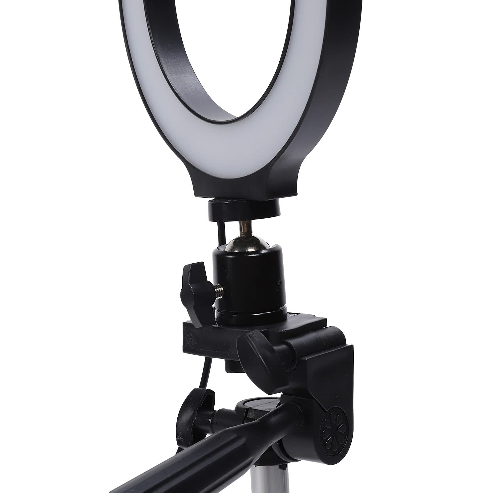 Anello di luce a LED dimmerabile da 6,2 pollici, luce di riempimento per fotografia con treppiede regolabile e supporto per telefono per studio di video trucco, anello di luce in l