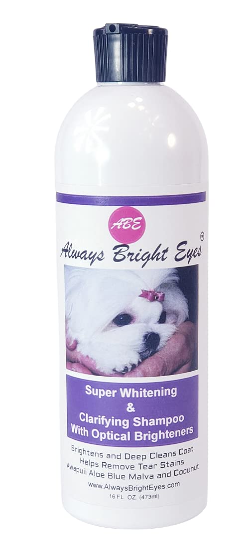 Always Bright EyesSuper Whitening and Clarifying Shampoo with Optical Brighteners. Tearless Shampoo for Dogs and Puppies, Whitening and Deep Cleaning, Tear Stain Remover