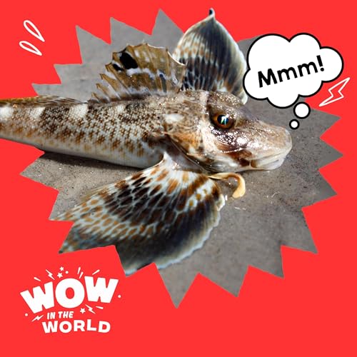 Eat With Your Feet (4/7/25) Podcast Por  arte de portada