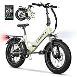 Folding Electric Bike 20' x 4.0 Fat Tire Electric Bicycle,48V Lithium Removable Battery,Peak 720W Folding Ebike for Adult,5 Pedal-Assist Levels& Large LCD Display,Step Through ebike for Adult