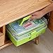 Kinsorcai 12'' Three-Layer Clear Plastic Storage Box/Tool Box, Multipurpose Organizer and Portable Handled Storage Case for Art Craft and Cosmetic (Green)