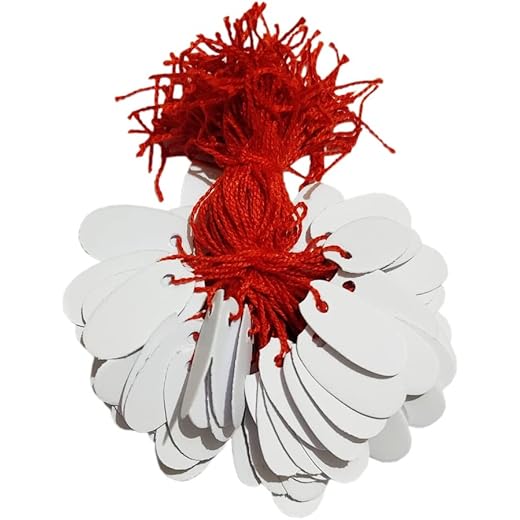 Paper Price Tag Tie Label - Pack of 100