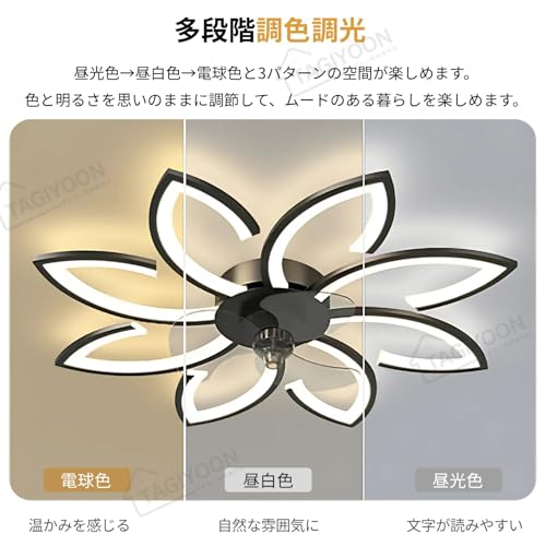 TAGIYOON シーリングファンライト YT06 の商品画像 2