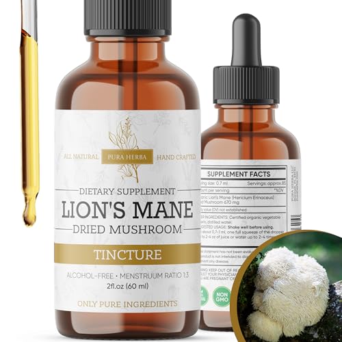 Lions Mane Mushroom Liquid Drops Brain Focus & Memory Support Organic Hericium Erinaceus Extract Natural Nootropic for Clarity & Energy Vegan Sugar-Free & Alcohol-Free Tincture