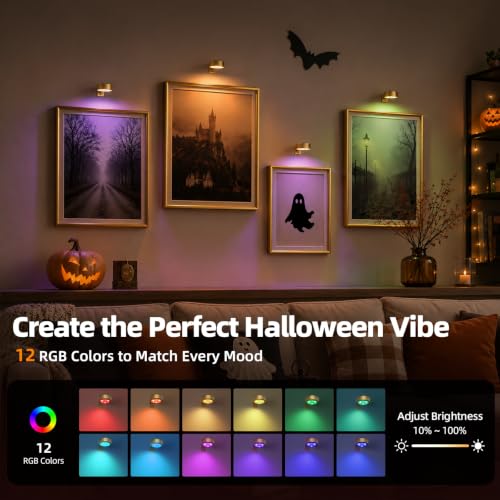 EZVALO Picture Lights for Wall, 2000mAh Rechargeable Battery Magnetic Poster Lights with 3 Color Temps & 12 RGB, Remote Dimmable Timer Painting Light, Wall Decor Light for Art Display, Frame (3 Pack)