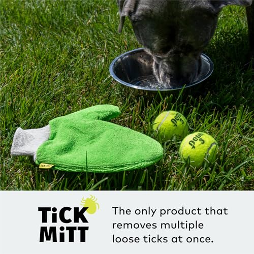 TiCK MiTT Green Tick Removal Glove