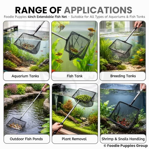 Image of Foodie Puppies Extendable Fish Net (4 Inch /10 cm) | Aquarium Fish Net with 9-22 Inch Telescopic Handle for Betta, Small Koi Pond & Pool | Stainless Steel Handle, Fine Mesh Net for Fish & Shrimp Tank