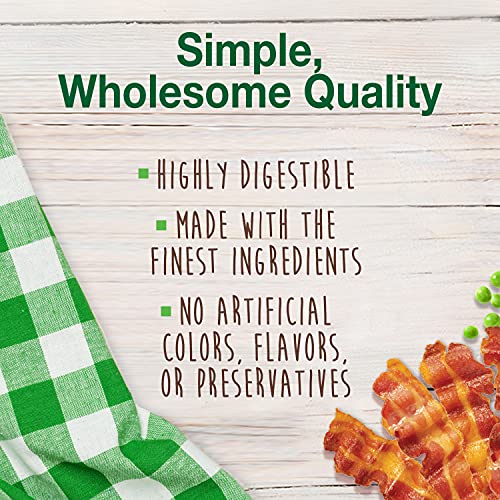 Image of Nylabone Healthy Edibles Natural Dog Chews Long Lasting Bacon Flavor Treats for Dogs, Small /Regular (12 Count) | Natural dog chew bones, made in USA, highly digestible, vet recommended, long lasting chews for small dogs up to 25 lbs