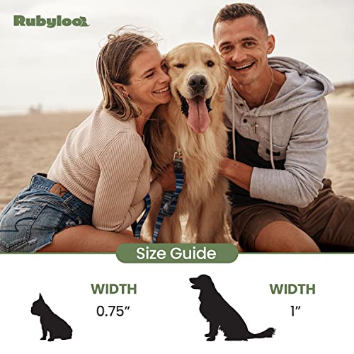 Rubyloo Waterproof Dog Leash 6Ft | 100% Waterproof, Stink Proof, Odor Proof, Fade Proof, Dirt Proof | Soft Padded Handle, Easy Clean | Rust & Corrosion Resistant Zinc Alloy Clip & D-Ring | Blue (1") #TOP4