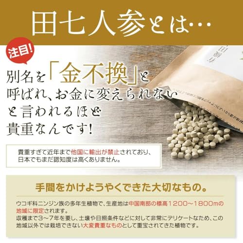 和漢堂 有機田七人参サプリメント