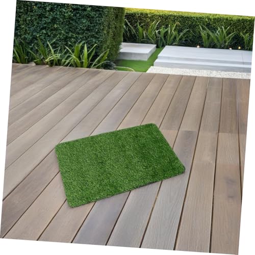 Tapis entrée amortissant résistant ifundom pour entrée propre