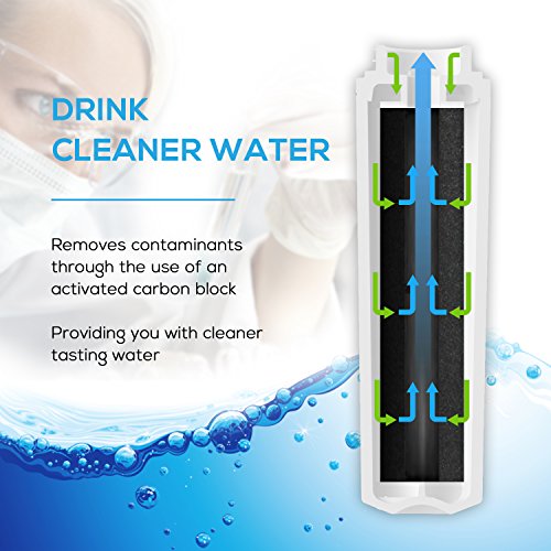 Filtre frigo compatible EDR4RXD1 pour de parfaits glaçons - 6