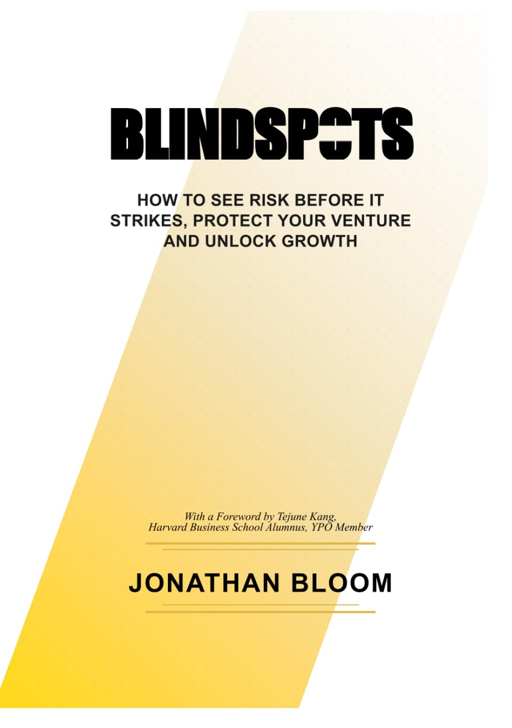 Blindspots: How to See Risk Before It Strikes, Protect Your Venture and Unlock Growth