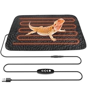 爬虫類保温器具 まとめ売り Amazon.co.jp 最新リリース: 爬虫類・両生類用保温球・ヒーター