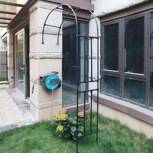 Support pour plantes grimpantes arche murale anti-rouille pour jardin