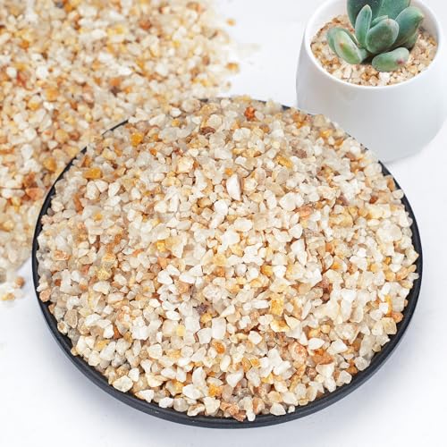 Rahato 1-2mm Coarse Sand for Plants, 6lb Horticultural Sand for Succulents, Desert Silica Sand for Cactus, Vases, Aquariums, Terrarium, Fish Tank, Drainage Rocks for Potted Plants, Bamboo, Crafts
