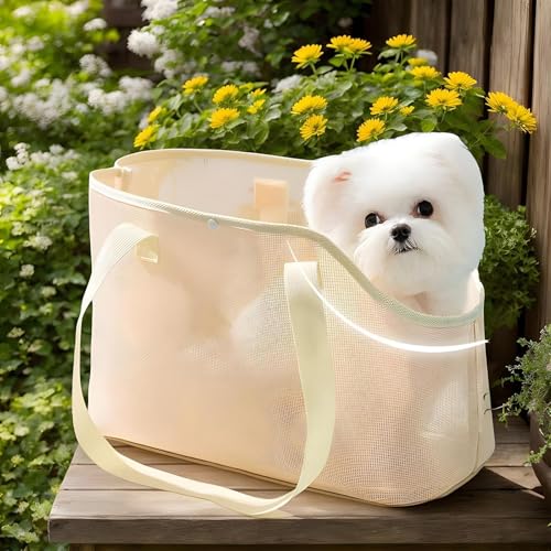 Hundetasche für Kleine Hunde Katze, Sommer Atmungsaktiv Netz Strand Tasche Hund Haustiere Carrier Soft Sided Zusammenklappbar Outdoor Travel Puppy (Grün, M)