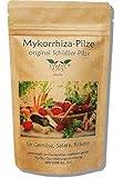 DÜNGER Mykorrhiza-Pilz Konzentrat für Gemüse, Salate und Kräuter - original Schüßler-Pilze, bekannt aus Funk und Fernsehen, zur Verbesserung von Pflanzenwachstum und -Gesundheit