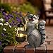 Waschbär Solarleuchte mit LED Laterne – Solarlampe Gartenfigur aus Polyresin – warmweißes Licht bei Dämmerung – wetterfeste Deko 21 cm mit austauschbarem Akku