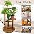 GEEBOBO 3 Tier Plant Stand Indoor For Multiple Plants, Corner Flower Shelf Plant Holder Display Rack Shelving for Patio Garden Balcony Bedroom Living Room