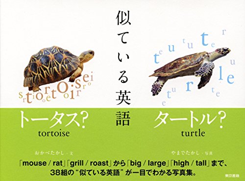 似ている英語のサムネイル