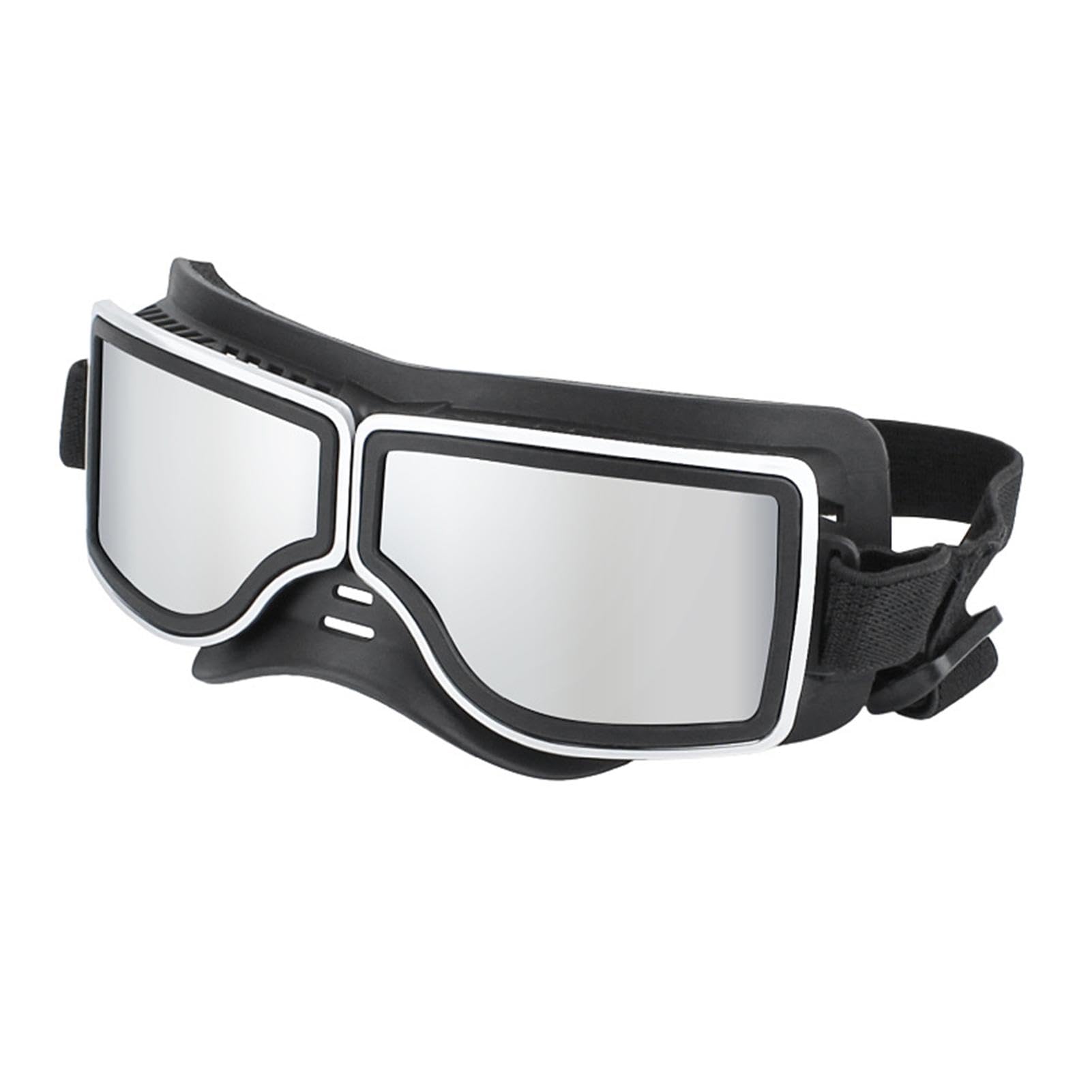 Protection des yeux du chien contre l'éblouissement via lunettes ajustables