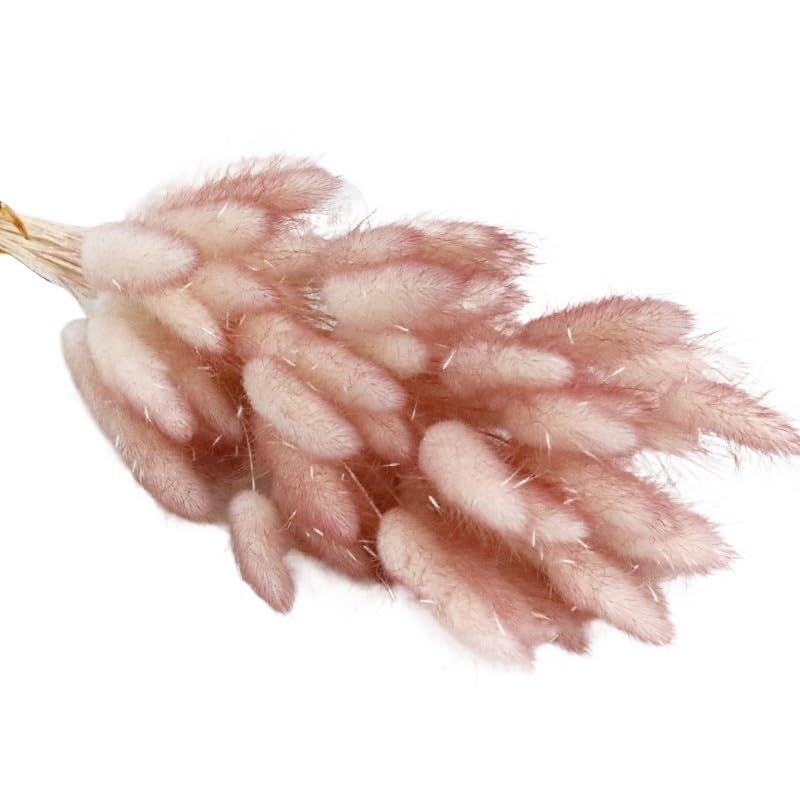 Ramo de Pasto Pampas Seco Natural 30 piezas Marrón miniatura 1