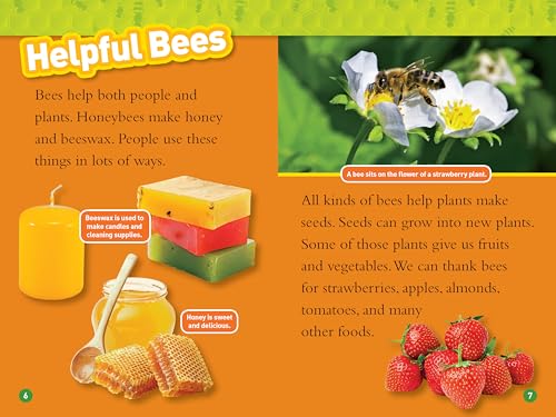 Bees (National Geographic Kids Readers, Level 2) - Image 3