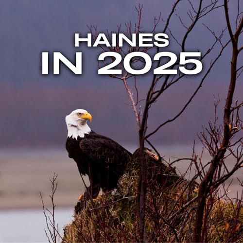 Visiting Haines in 2025 cover art