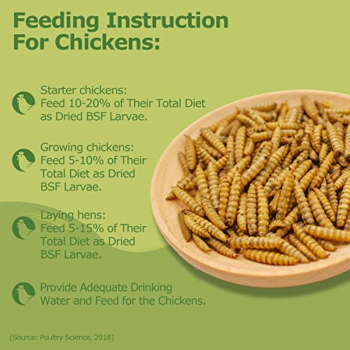 HARTOMPET 5LB Dried Black Soldier Fly Larvae, Non-GMO & Nutrient-Packed Chicken Feed, Strong Egg Production and Health, Rich in Calcium for Healthy Hens and Ducks, Better Than Dried Mealworms
