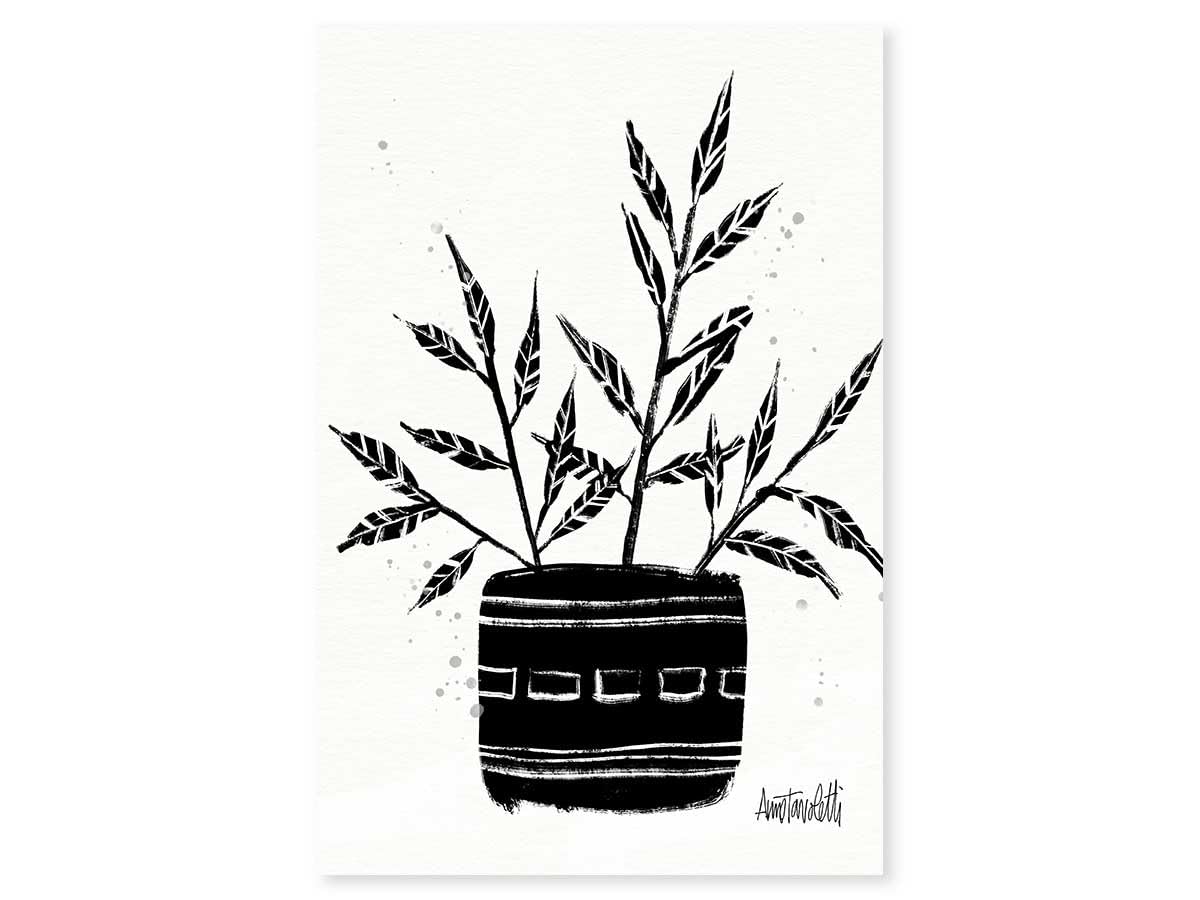 ilustración botánica y cerámica terracota – Made in France – Póster bajo marco madera 60 x 90 cm