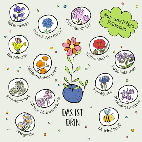 Ostergeschenk Frohe Ostern – Set aus 10x5 bunten Blumenmurmeln l Kleine Saatkugeln in einem Tütchen mit Hasen-Motiv und Lichterkette l Geschenk zu Ostern l Geschenkidee Ostern l Ideal fürs Osternest