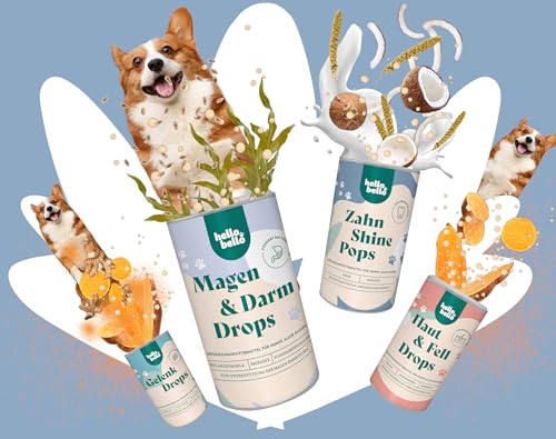 HELLOBELLO kaltgepresste Zahn Shine Pops für Hunde 200g für strahlende Zähne & gegen Mundgeruch - Mit Hirse, Kokosöl & Kokosmehl - Zahnsteinentferner Hund, Hunde Zahnpflege, Hund Zähne Snack