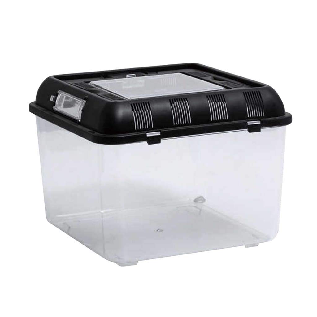 Contenedor de plástico con asa de Transporte Tanque de Acuario Caja de terrario Peces pequeños Invertebrados Reptiles Anfibios Plantas e Insectos acuáticos (Transparente 26 * 26 * 20 cm)
