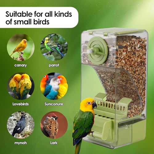 Image of Bird Feeder No Mess 2PCS Automatic Clear Bird Seed Food Container Acrylic Parrot Feeder Dispenser Cage Accessories for Parakeet Budgies Cockatoo Canary Love Bird (Green)