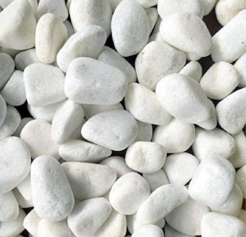 Kelkay Premium Arctic White Marble Pebbles | 20-60mm | Pot Topper | Garden (1kg)