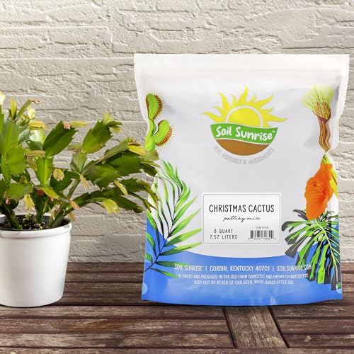 Soil Sunrise Christmas Cactus Potting Soil Mix (8 Quarts) Custom Blend for Xmas, Easter, and Thanksgiving Cactus Tropical Indoor Houseplants - Image 3